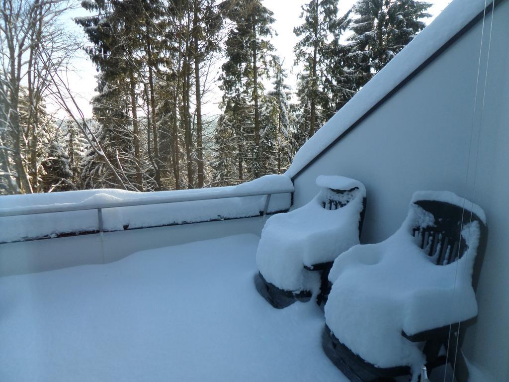 Terrassenhaus Winterberg Appartement Buitenkant foto